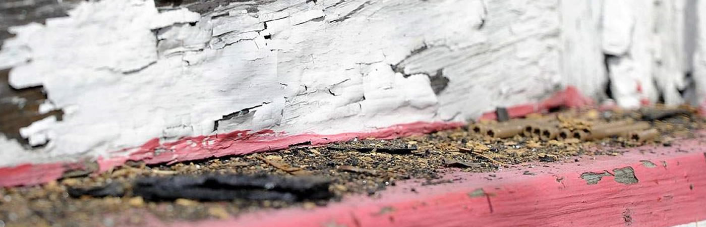 Lead Based Paint Removal Services from KK Environmental Services